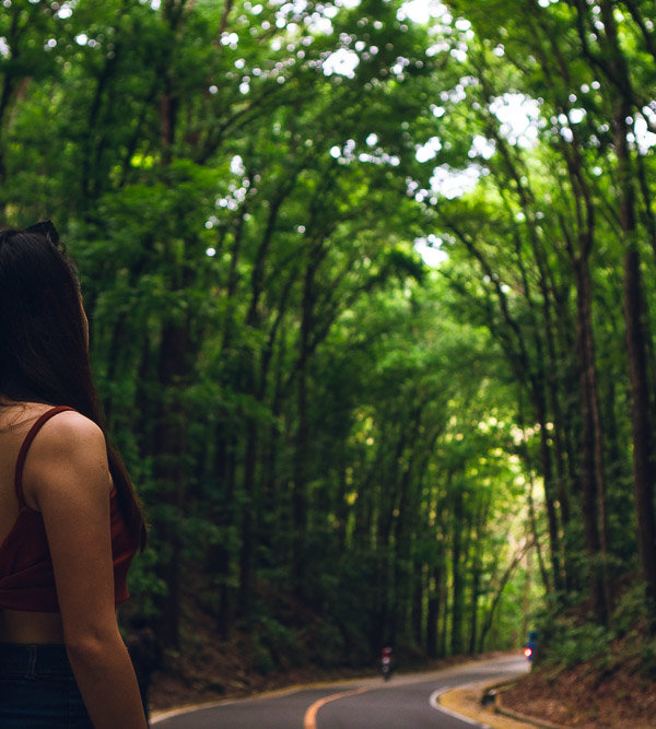 Private Tour Bohol