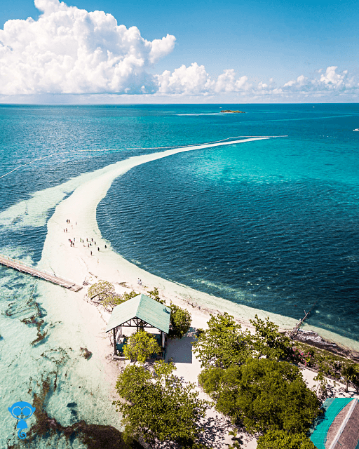Best Things to do in Panglao