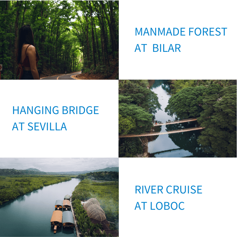 Experience Bohol day tour activities