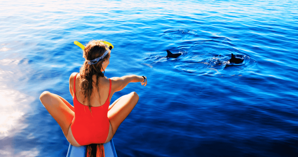dolphin watching in balicasag island, bohol