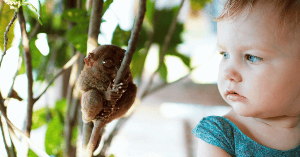 baby with tarsier