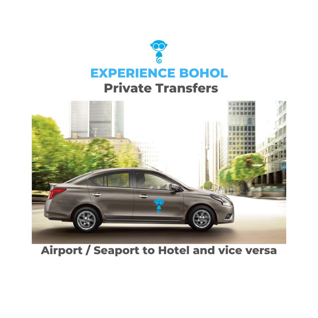 Transportation (3) Grey Sedan car for private airport transfer in bohol philippines